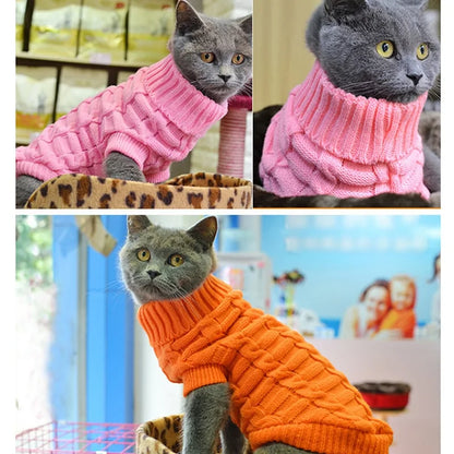 Spring / Autumn Animal Clothes