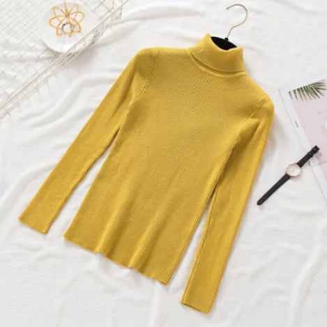 Pullover Women Knitted Turtleneck Sweater